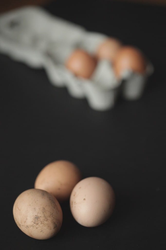 Eggs