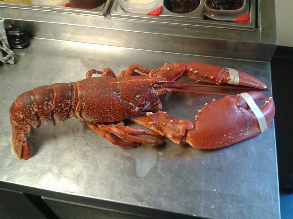 Three Foodie Things- Lobster Tuesdays