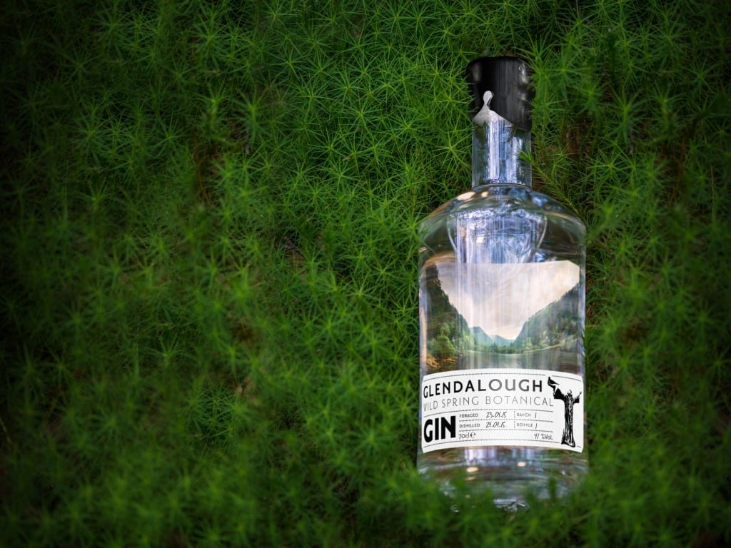 Dublin Gin & Tonic Fest! Gourmet Grazing